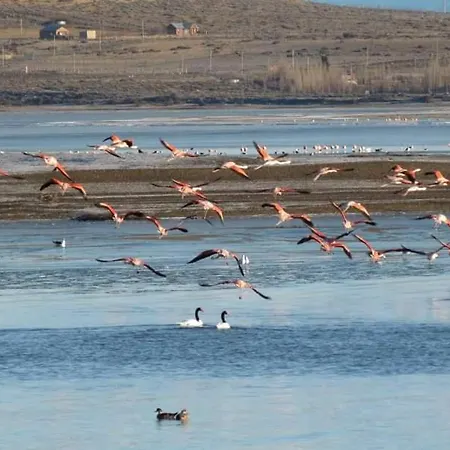 Cabana Los Cisnes El Calafate Exterior photo