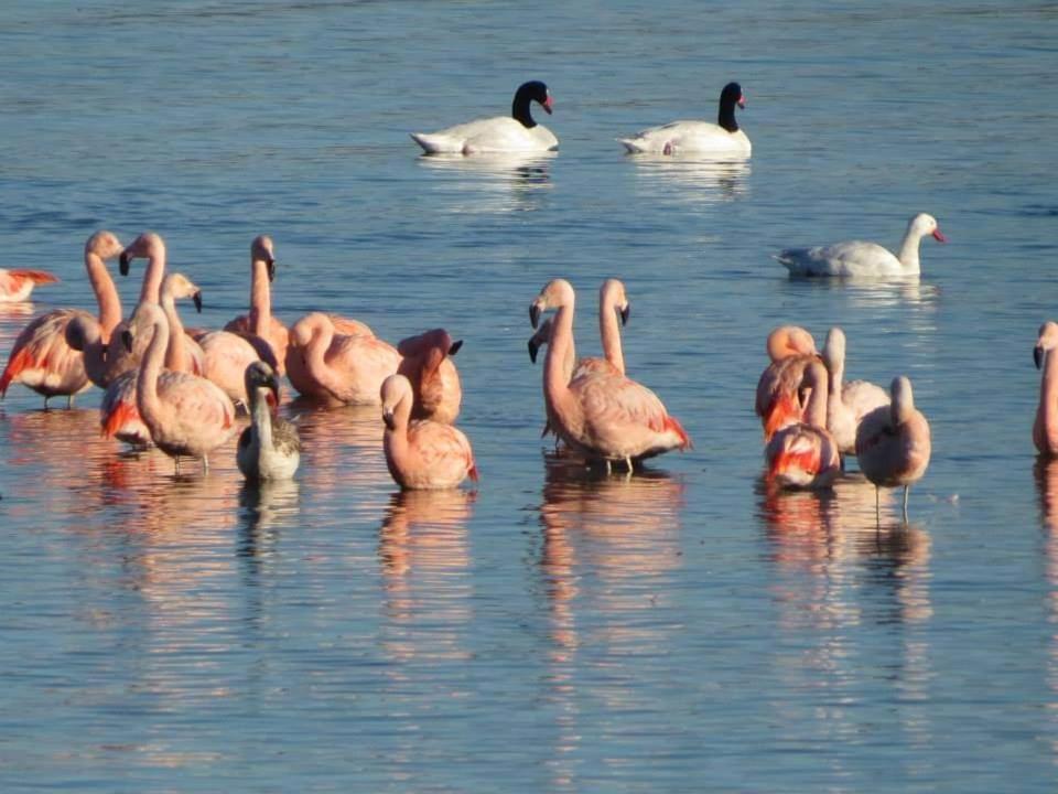 Holiday home Cisnes