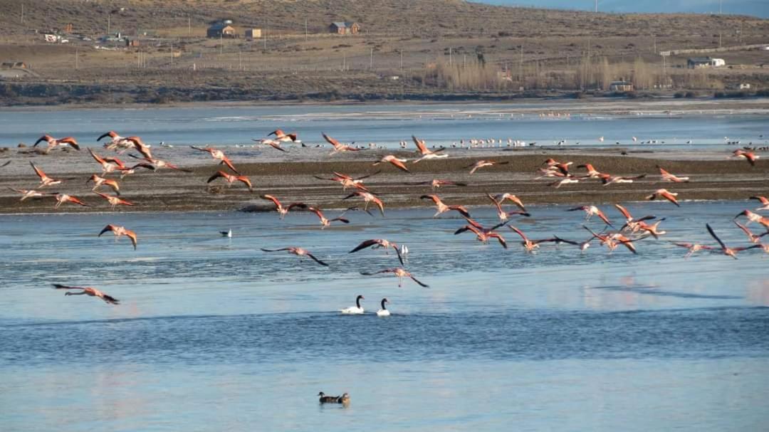 Cisnes Holiday home